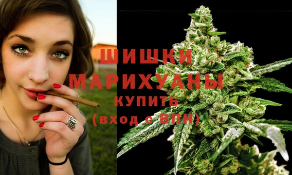 молекула духа Верхний Тагил