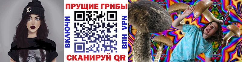 hydra Владикавказ Галлюциногенные грибы Cubensis